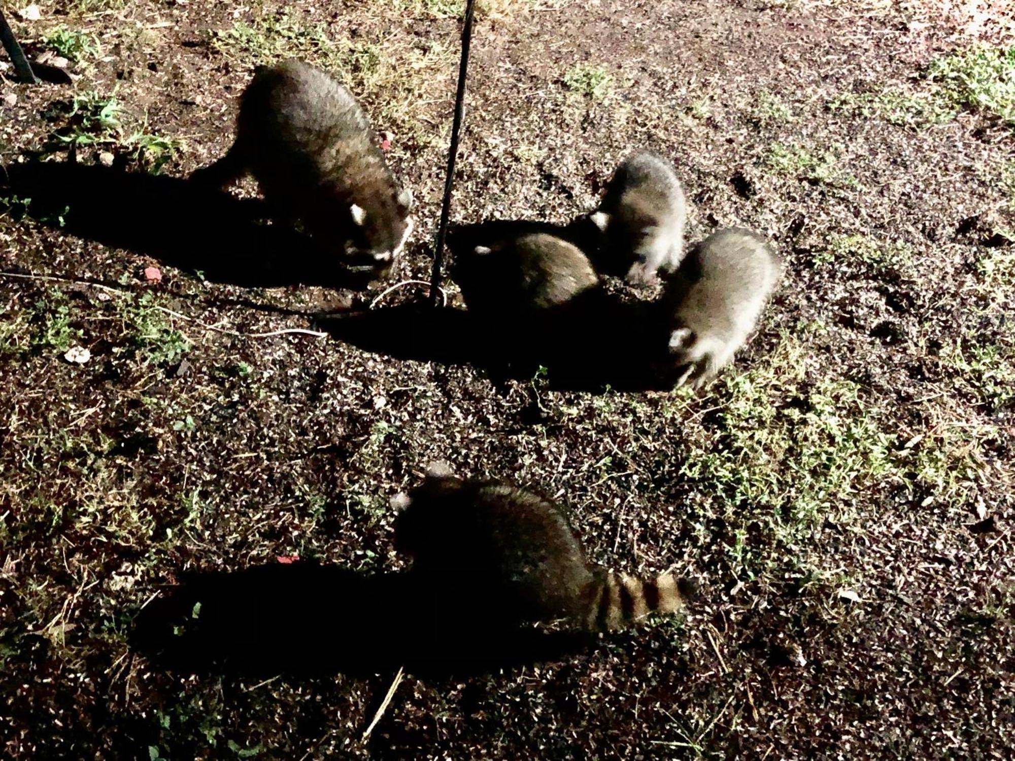 Fishers Of Men Ranch Home マーブル・フォールズ エクステリア 写真